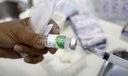 Vacina contra a gripe pode reduzir o risco de infarto e AVC