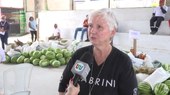 Veja iniciativa que garante alimento, gera dignidade e esperança