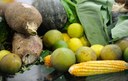 Vitamina D pode trazer benefícios e malefícios para a saúde Vitamina D pode trazer benefícios e malefícios para a saúde