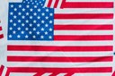 Vitória de Trump: como ficam as relações econômicas e diplomáticas com o Brasil? Vitória de Trump: como ficam as relações econômicas e diplomáticas com o Brasil?