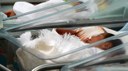 Zika afeta um terço dos filhos de grávidas infectadas
