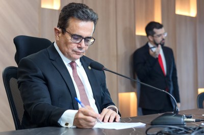 REUIÃO DAS COMISSÕES CONJUNTAS 29.04.2025 (7).jpg