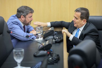SESSÃO PLENÁRIA 20.05 (2).jpg