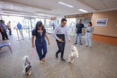 Alepi permite que estudante entre pela primeira vez em prédio público com cão de apoio emocional