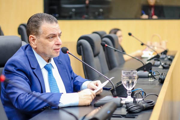 Alepi vai homenagear praticantes de artes marciais