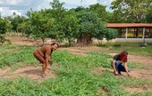 Deputado destina mais de R$ 320 mil para agricultores familiares no Piauí