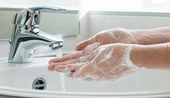 Neste 5 de maio, a Anvisa recomenda: higienize as mãos