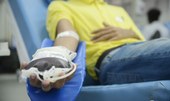 Quatorze em cada mil brasileiros são doadores regulares de sangue