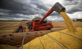 Agro eleva PIB: soja e milho lideram a produção mundial
