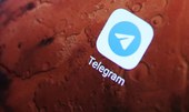 Aumentam denúncias de imagens sobre abuso sexual infantil no Telegram
