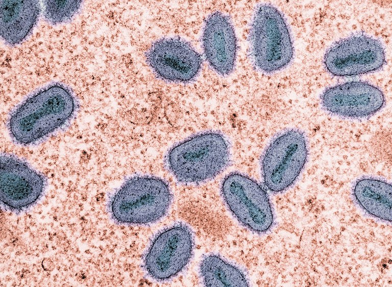2024 übertrifft in der Zahl der Fälle bereits 2023 – gesetzgebende Versammlung von Piauí