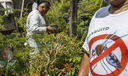 Brasil lidera casos de dengue na América Latina e Caribe