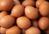 Carimbo nos ovos a granel: prazo é adiado para setembro