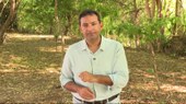 Confira os destaques do Piauí que Produz deste domingo (16)