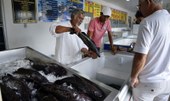Doença Urina Preta pode ter relação com o consumo de frutos do mar, diz ministério
