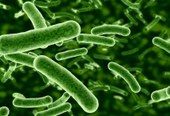 Fiocruz alerta para aumento de bactérias resistentes a antibióticos