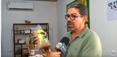 Genética no campo e produção sustentável são destaques no Piauí que Produz deste domingo (20)