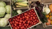 Inscrições do PAS, programa que vai comprar R$ 5 milhões em alimentos da agricultura familiar, encerram domingo (20)