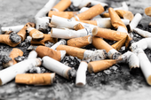 OMS alerta sobre malefícios do tabaco ao meio ambiente