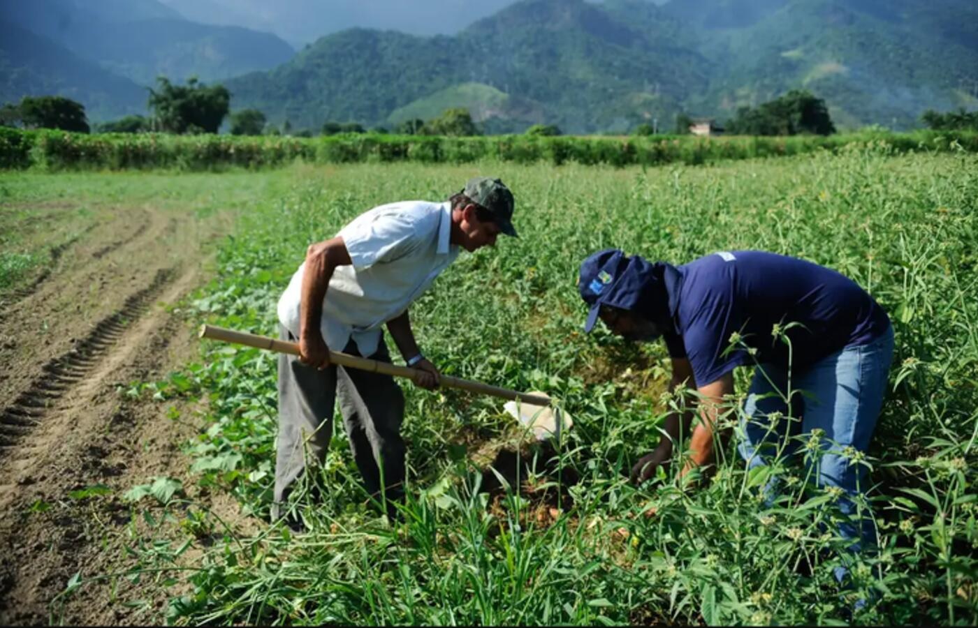 Agro apresenta perda de quase 30 mil vagas de trabalho em novembro