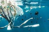 Poluição oculta: os riscos de plástico e lixo descartados em mares e rios