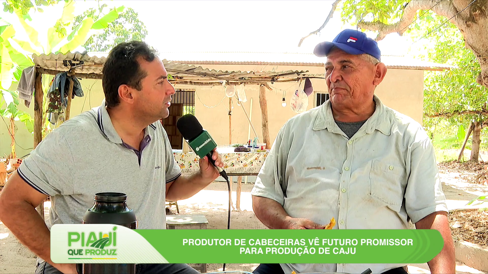 Produção de caju em Cabeceiras e onças-pintadas na Serra da Capivara são destaques do Piauí que Produz deste domingo (08)