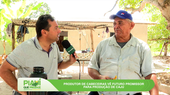 Produção de caju em Cabeceiras e onças-pintadas na Serra da Capivara são destaques do Piauí que Produz deste domingo (08)