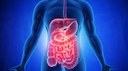 Sintomas do câncer de intestino: como identificar a doença