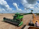 Soja do Piauí ultrapassa R$ 8 bi no valor de produção agrícola Soja do Piauí ultrapassa R$ 8 bi no valor de produção agrícola